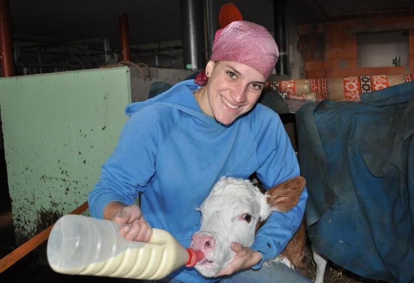 ホテル Mittereibenberger