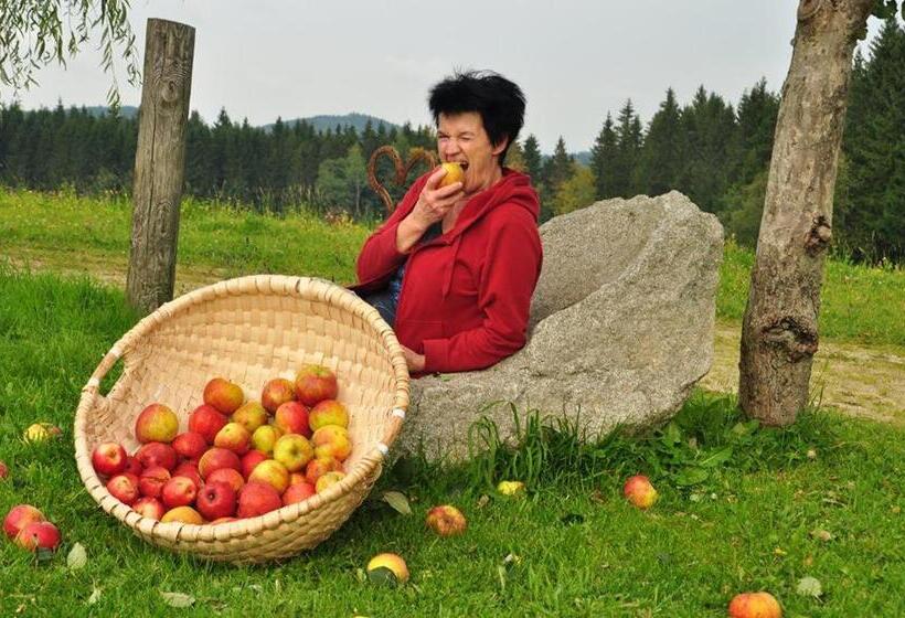 ホテル Mittereibenberger