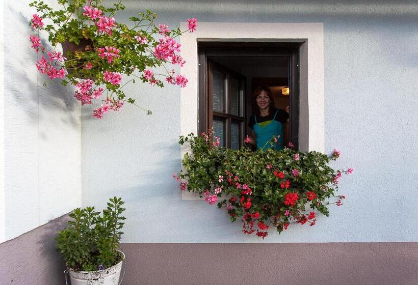 ホテル Mittereibenberger