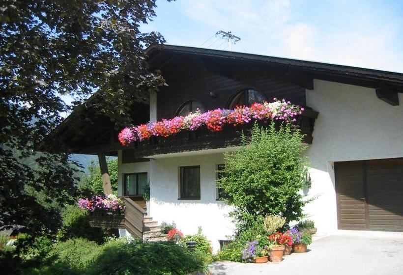 호텔 Berghaus Drei Tannen