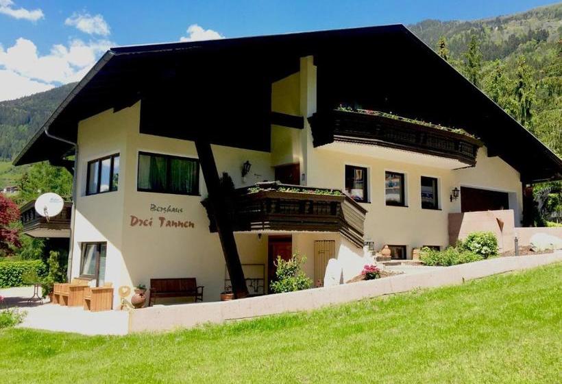 호텔 Berghaus Drei Tannen