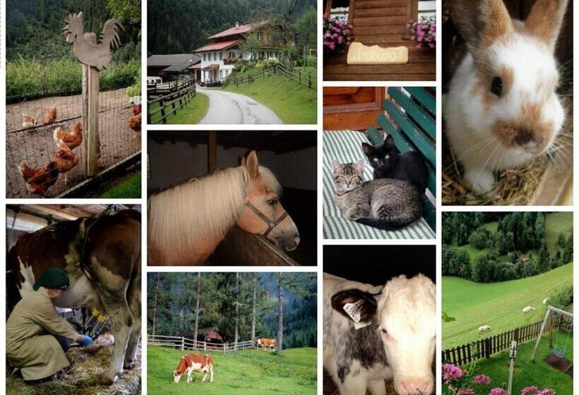 فندق Biobauernhof Windbachgut