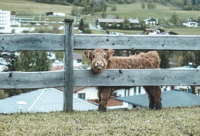 酒店 Chalets Grosslehen