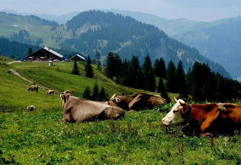 فندق Dorfgasthof Adler