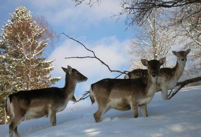 호텔 Ferienbauernhof Liebschick