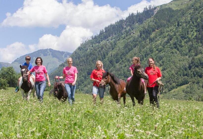 فندق Feriendorf Ponyhof