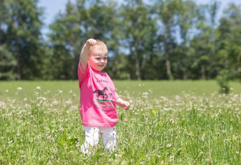 فندق Feriendorf Ponyhof
