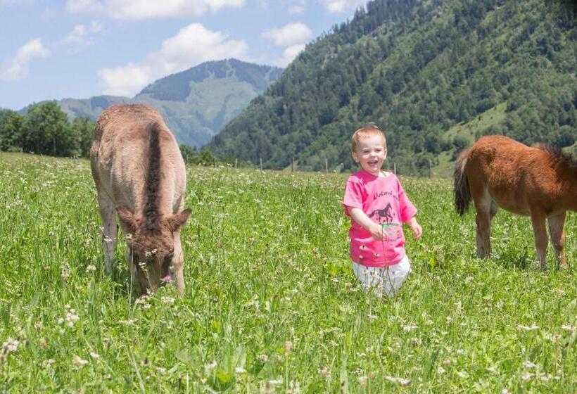 فندق Feriendorf Ponyhof