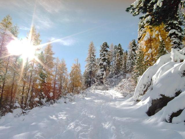 בית מלון כפרי Ferienwohnung Maria