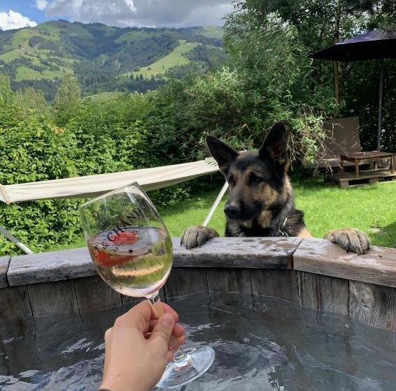 Отель Garni Wieshof