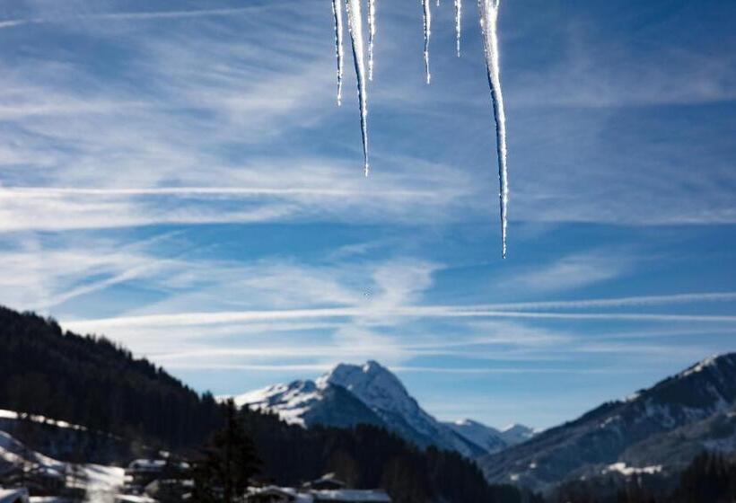 Отель Garni Wieshof