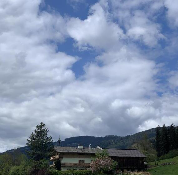 Отель Garni Wieshof