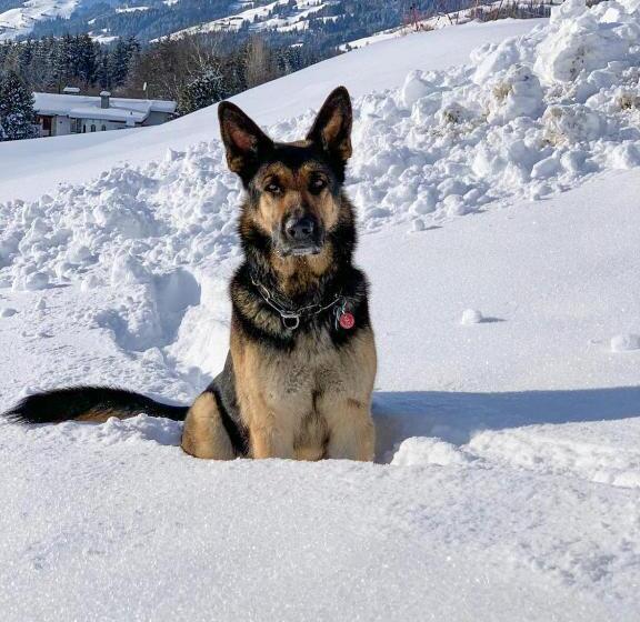 Отель Garni Wieshof