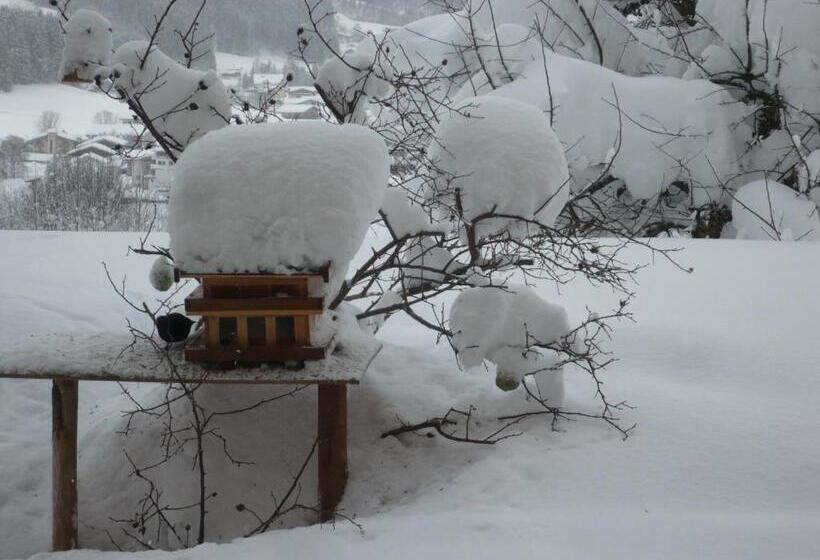 Отель Garni Wieshof