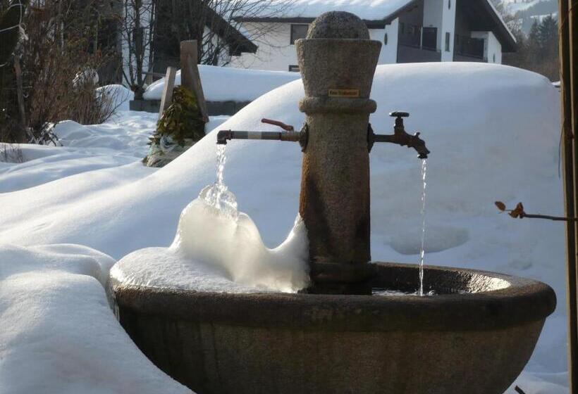 Отель Garni Wieshof