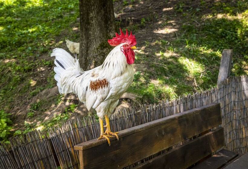 هتل Gasthof Pesbichl