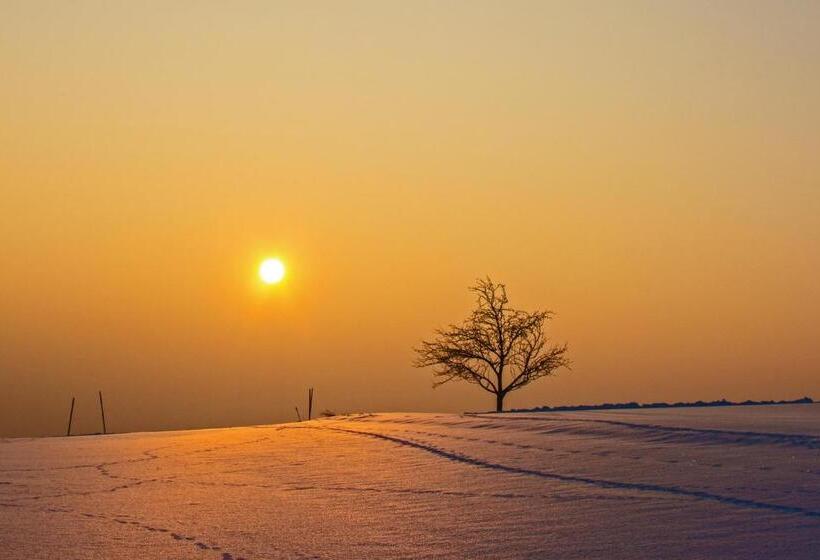 ホテル Gasthof  Zum Alten Turm
