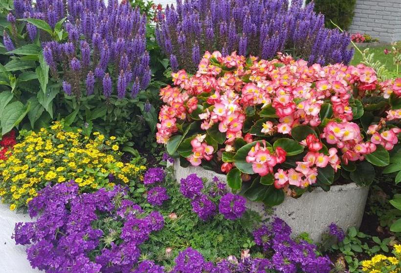 فندق Gästehaus Monika