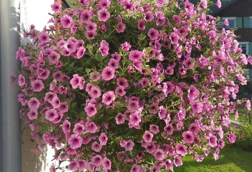 فندق Gästehaus Monika