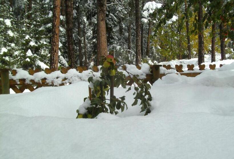 호텔 Gästehaus Sissy