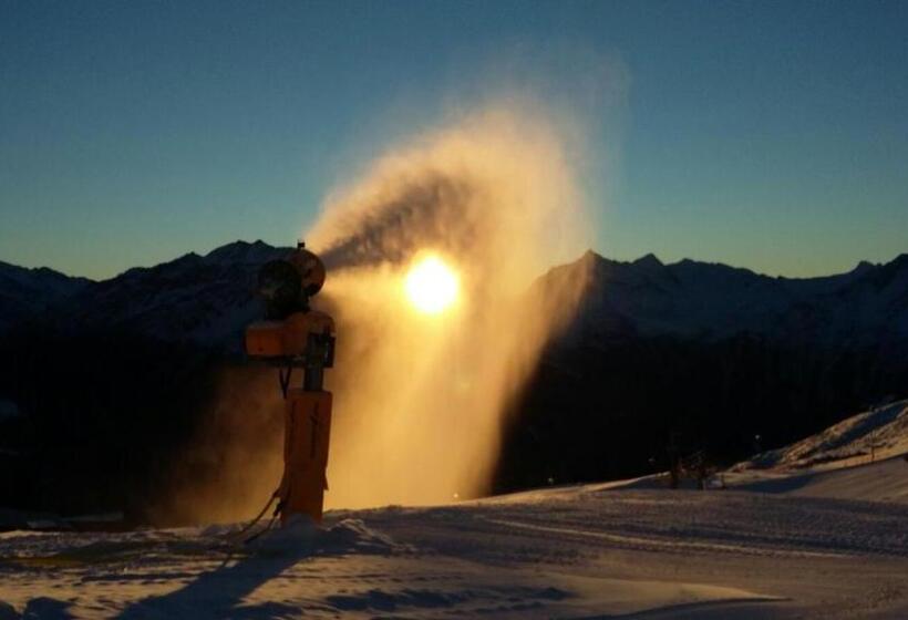 호텔 Gästehaus Sissy