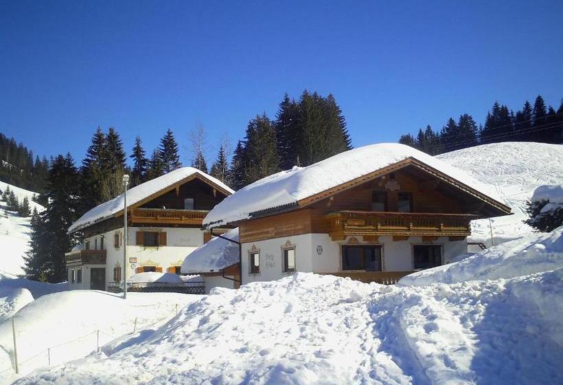 בית מלון כפרי Haus Steinkarblick Und Berghäusl