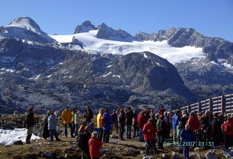 فندق Haus Alpenrose