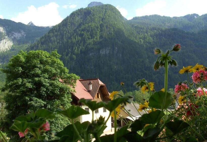 فندق Haus Alpenrose