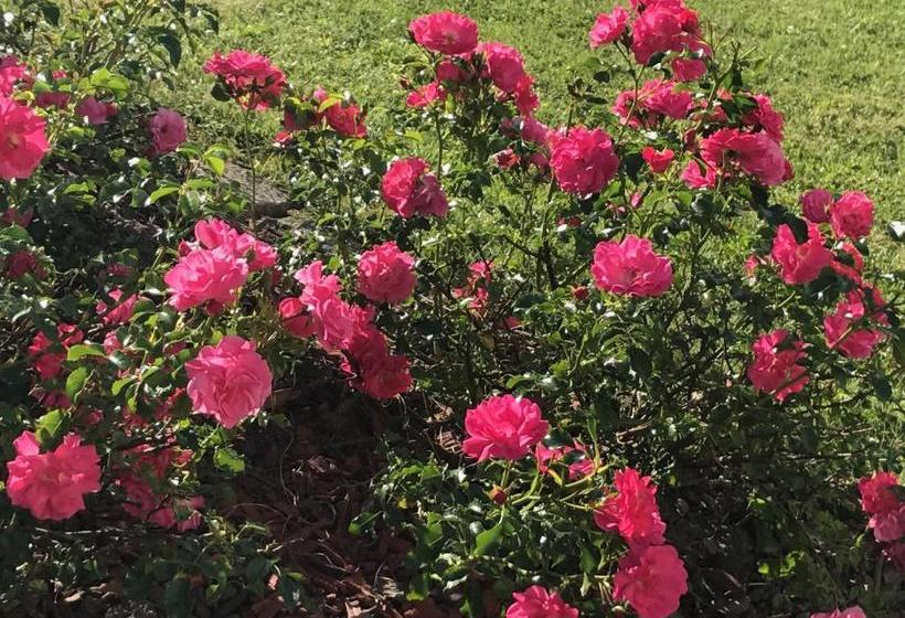 ホテル Haus Goehringer