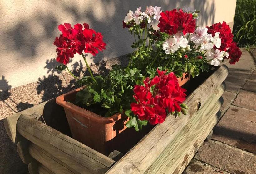 ホテル Haus Goehringer