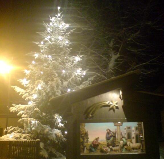 酒店 Haus Hubertus