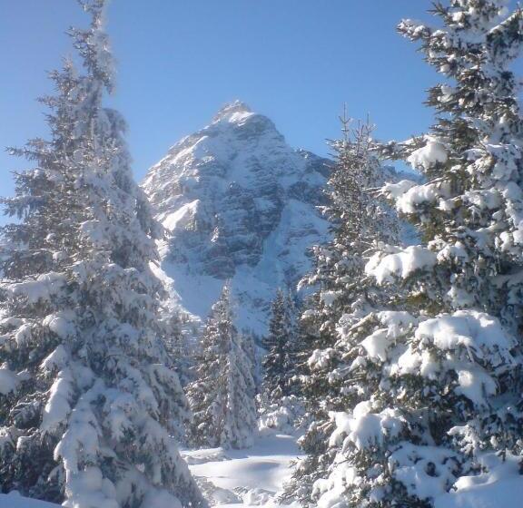 酒店 Haus Hubertus