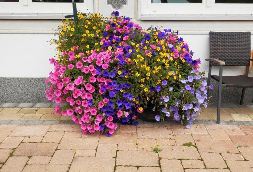 Отель Haus Seebach