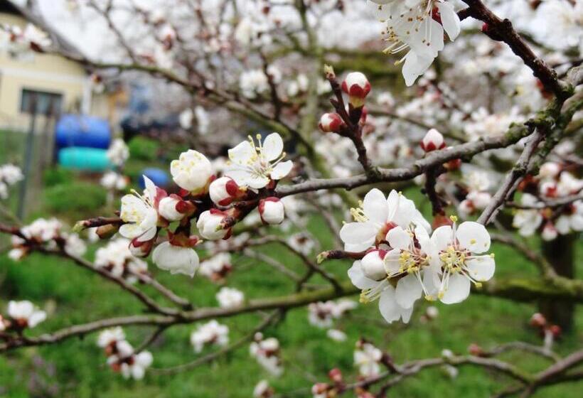 فندق Haus Sundl   Privatzimmer