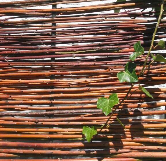 فندق Haus Theresia