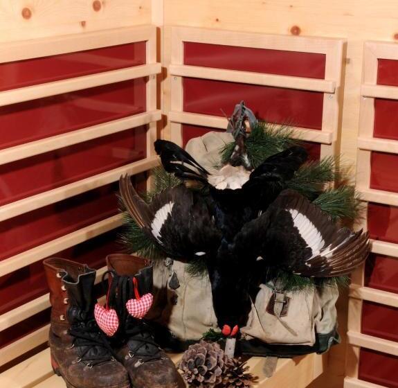 هتل Jagdhof Ligedl