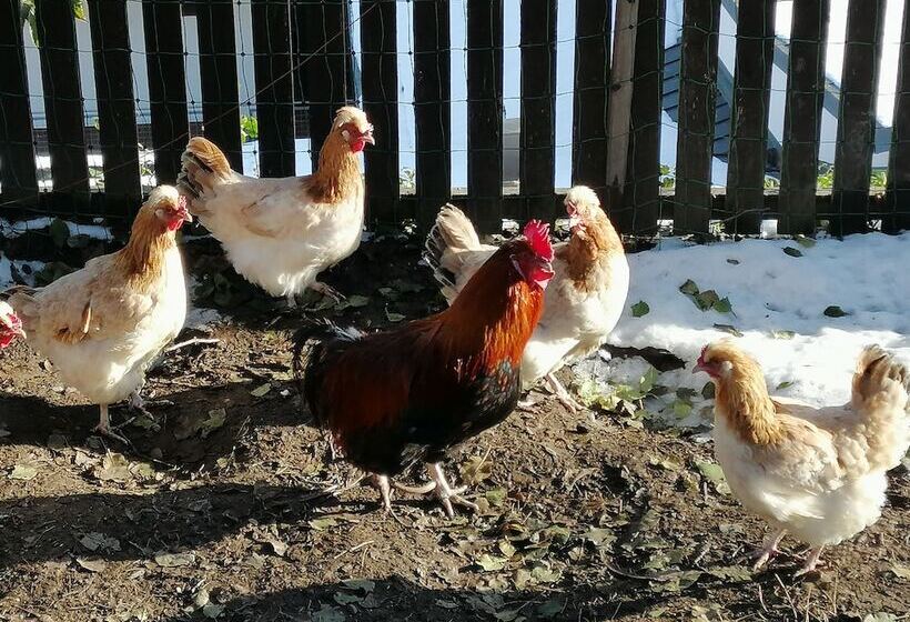 בית מלון כפרי Landhaus Zangerl