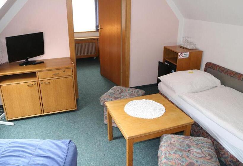 Отель Pension Alt Strassgang