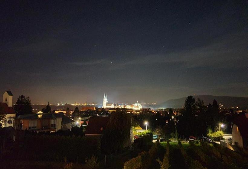 酒店 Pension Alte Mühle