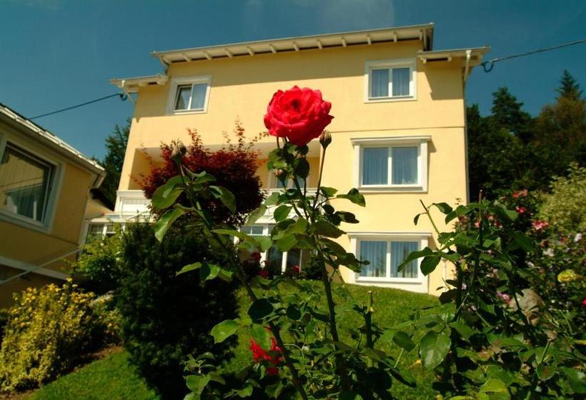 בית מלון כפרי Pension Ayurveda