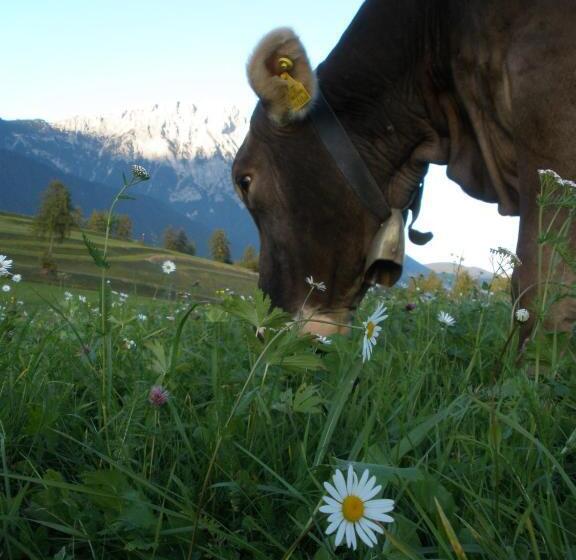 酒店 Pension Bauernhof Spielmann