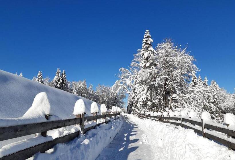 فندق Pension Leitner