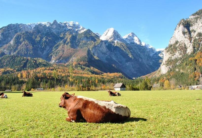 Отель Prentnergut