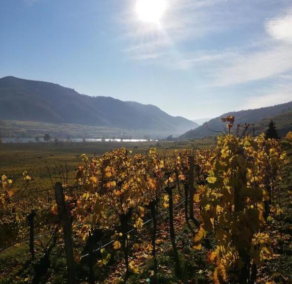 酒店 Privatzimmer Langthaler