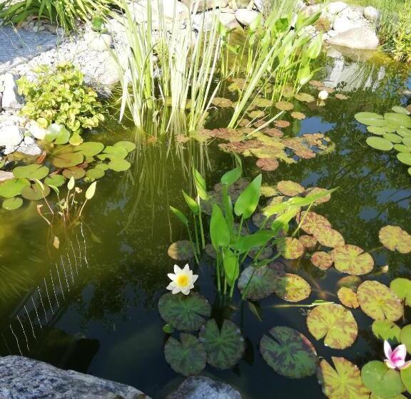 酒店 Privatzimmer Langthaler