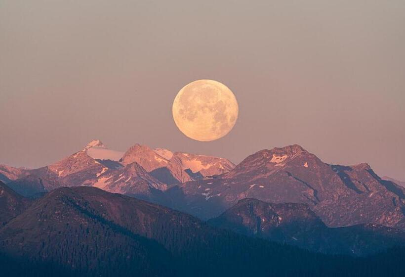 호텔 Reiters Wohlfühl