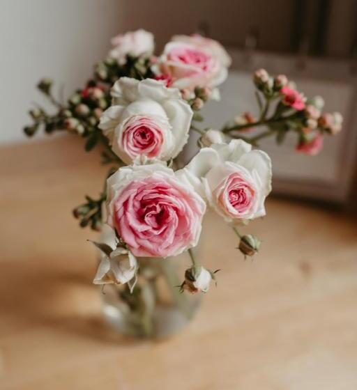 هتل Restaurant Soleo