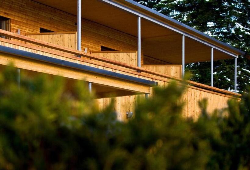 호텔 Schettereggerhof