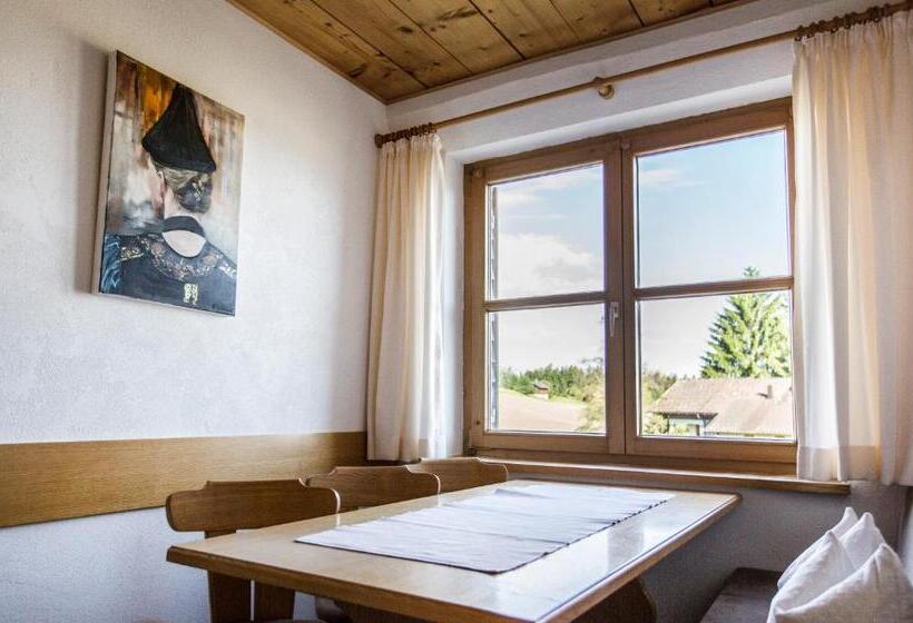 호텔 Schettereggerhof