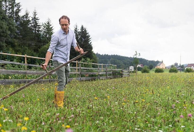 酒店 Schloss Lerchenhof